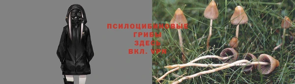 spice Сосновый Бор