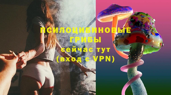 spice Сосновый Бор